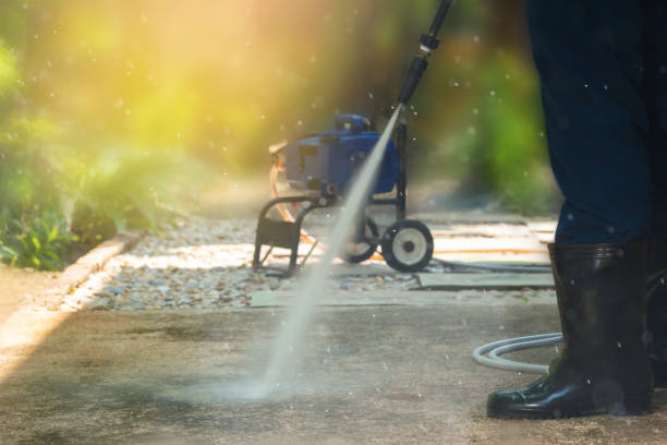 Best Animal Enclosure Cleaning  in Rugby, ND